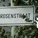 Rosenstraat