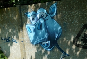 Blauwe koe