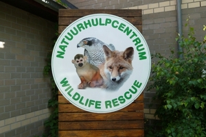 Wildlife rescue