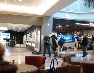 Shopping Center : Verplaats de koe
