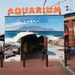 Two Oceans Aquarium - Waterfront