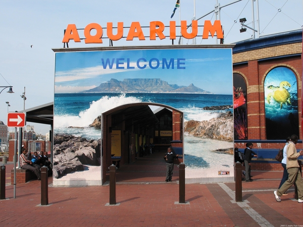 Two Oceans Aquarium - Waterfront