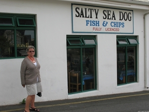 Salty sea dog