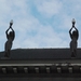 013 Antwerpen  7.01.2012 - beelden op dak