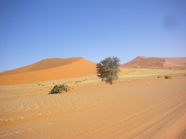 Namibi
