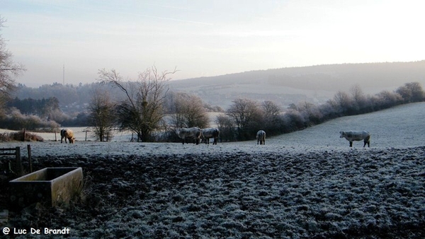 marche adeps wandeling Couvin Ardennen