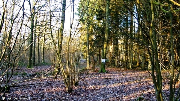 marche adeps wandeling Couvin Ardennen