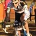 WB cyclocross Liévin (FR) 15-1-2012 366