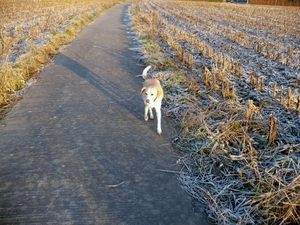 LUNA OP HAAR WANDELING