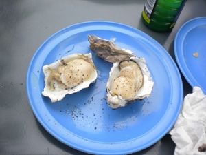 Prachtige en lekkere oesters