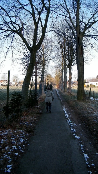 wandeling Aktivia Horizon Opwijk