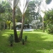 in tuin van ons guesthouse Playa Negra in Cahuita