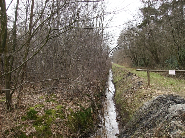 Ruiselede Februari 2012 017