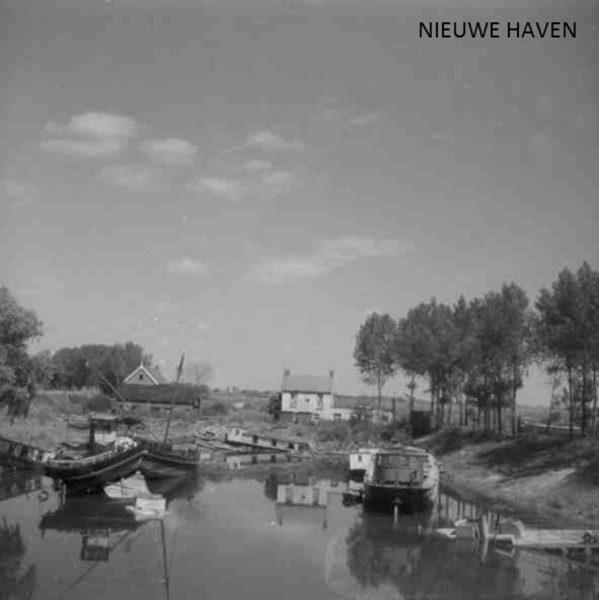 NW HAVEN3
