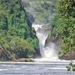 D4 Murchison Falls (26)
