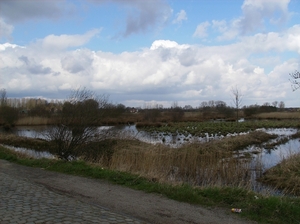 Gentbrugge Maart 2012 014