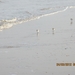 Zandvoort, 21maart 2012, 30 km. wandeltocht 017
