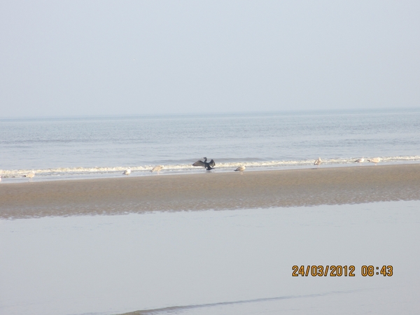 Zandvoort, 21maart 2012, 30 km. wandeltocht 021