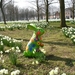 Buggenhout Maart 2012 029