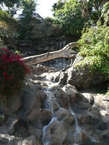 20120308 12u10 Loro Parque  Spanje Tenerife colon guanahani 102