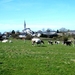 2012_04_01 Villers-Deux-Eglises 62 Senzeilles