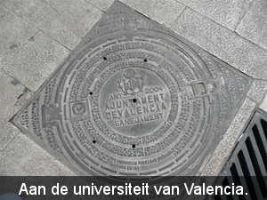 20090416 14u51  Valencia rooster in het voetpad aan de Universite