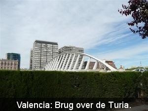 20090417 11u10  Valencia Brug over de Turia  198