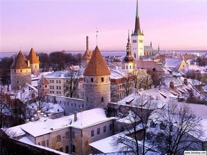steden 103  Tallinn - Estland (Medium) (Small)