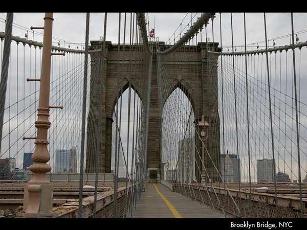 steden 14 New York - Brooklyn Bridge (Medium)