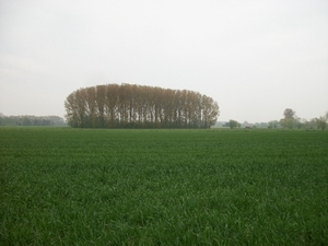 15-Panoramisch zicht-Nieuwenrode