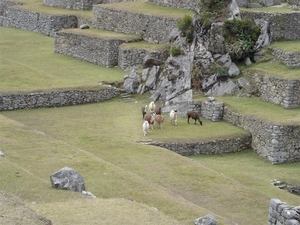 Peru 04 Machu Picchu (Small)