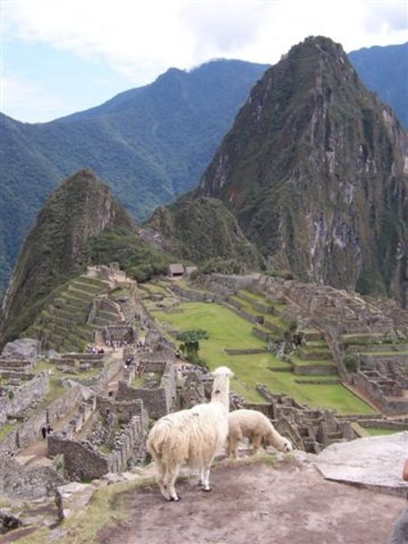 Peru 08 Machu Picchu (Small)