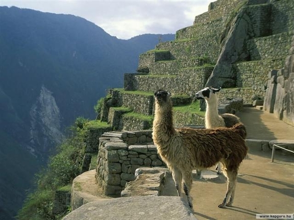 Peru 19 Machu Picchu (Small)