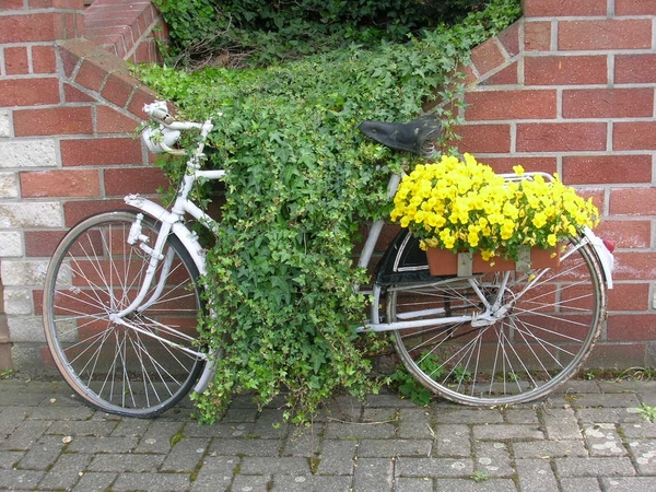 The Oak fiets en bloemen