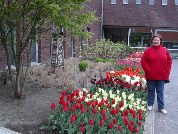 Paula en tulpen