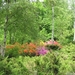 Arboretum 29 (Small)