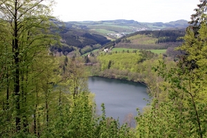 Gemundener Maar (boven op krater)