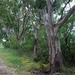 092 Kos Mei 2012 - wandeling 2 ecologisch pad
