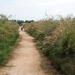 105 Kos Mei 2012 - wandeling 2 ecologisch pad