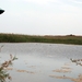 106 Kos Mei 2012 - wandeling 2 ecologisch pad