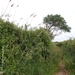 126 Kos Mei 2012 - wandeling 2 ecologisch pad