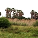 129 Kos Mei 2012 - wandeling 2 ecologisch pad
