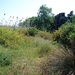 837 Kos Mei 2012 - wandeling 3 ecologisch pad