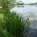 20120519.Overmere 036