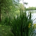 20120519.Overmere 037