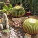 cactus 51 (Small)