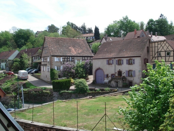 Alsace (14)