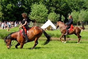 SchooneSchaapjes-Staden-Paardendres.