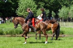 SchooneSchaapjes-Staden-Paardendres.