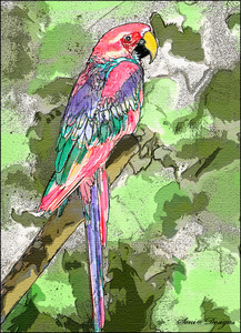 papegaai geschilderd